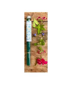 Julie Dodsworth - Daisy Daisy Glass Tube of 10 Incense Sticks  - 6 x 30g